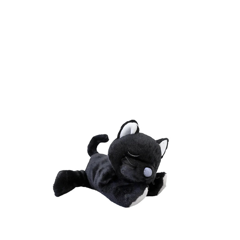 Binky Kitten Koko - Black - Image 4