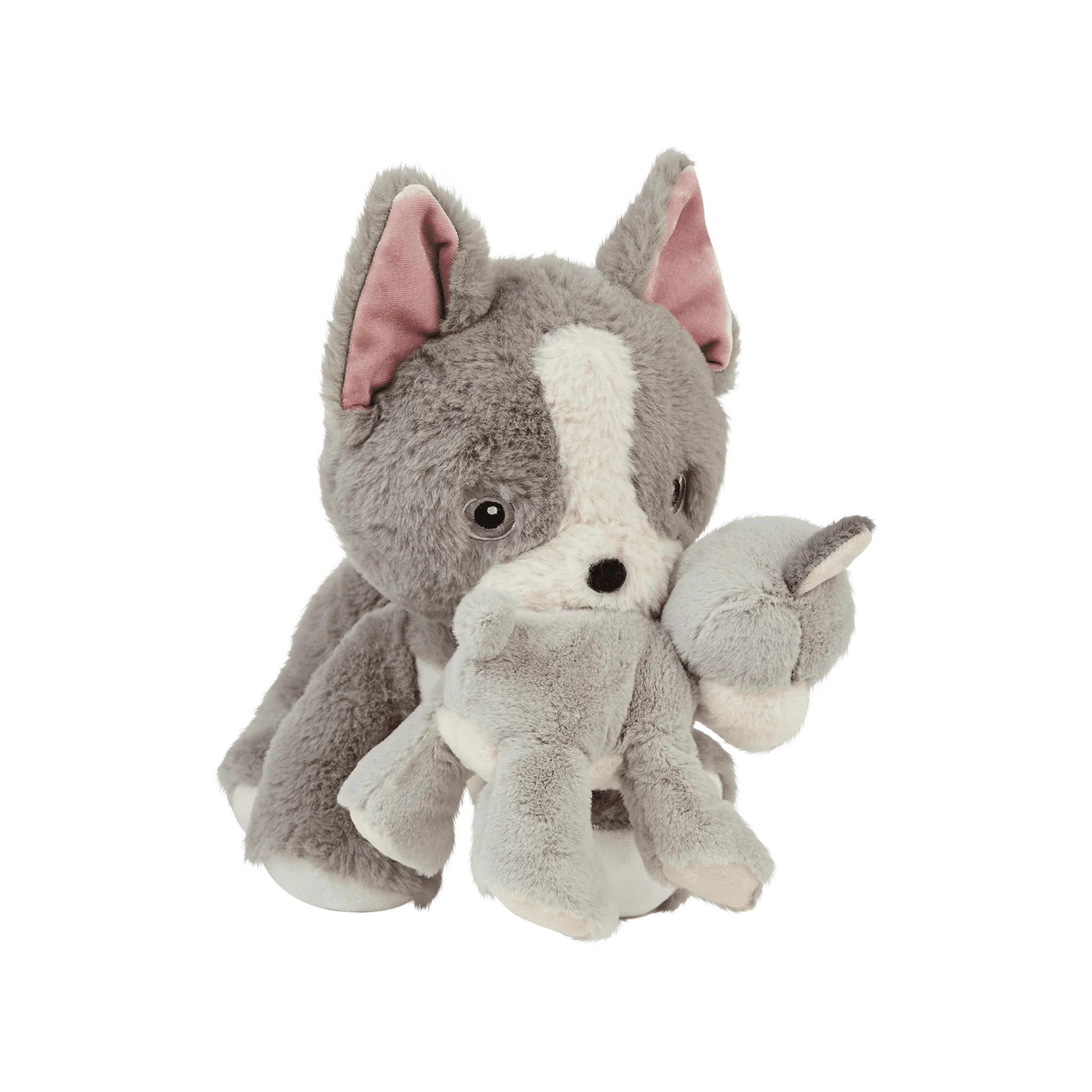 Binky Puppy - Banjo - Image 10