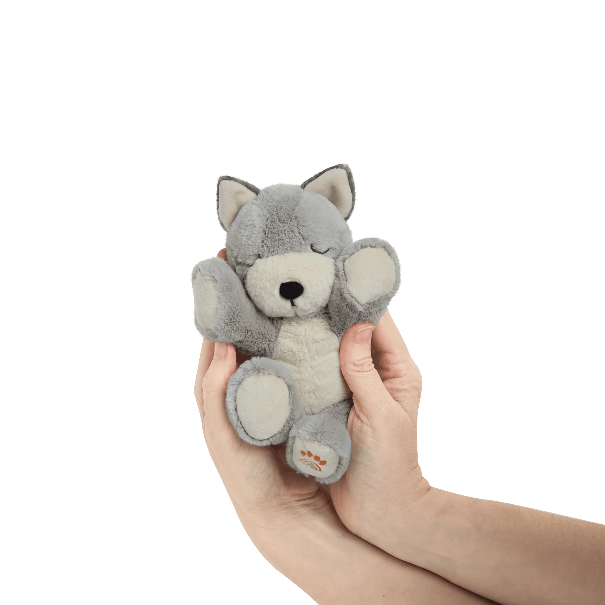 Binky Puppy - Banjo - Image 12