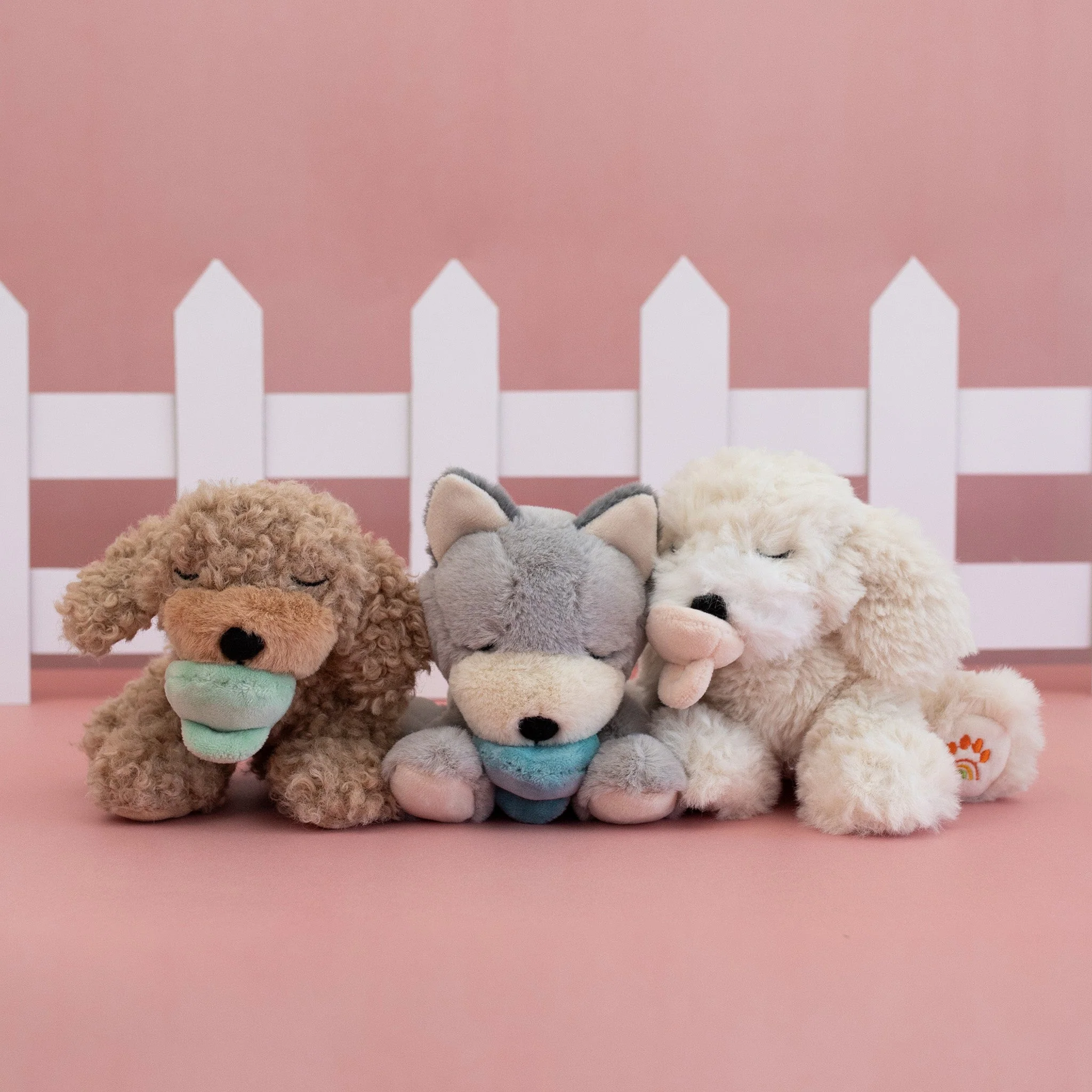 Binky Puppy - Belle - Image 6