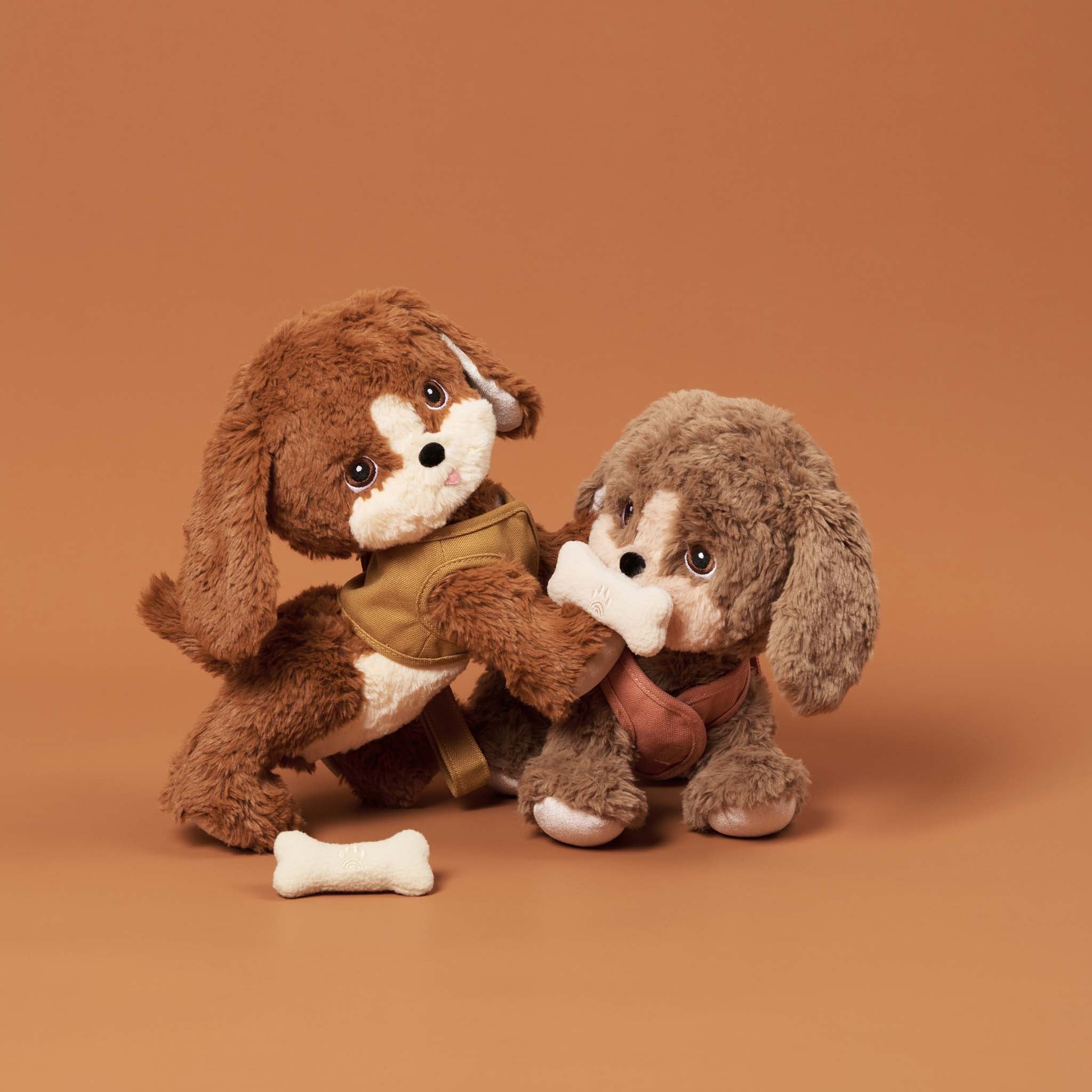 Dinkum Dogs - Buddy - Image 5