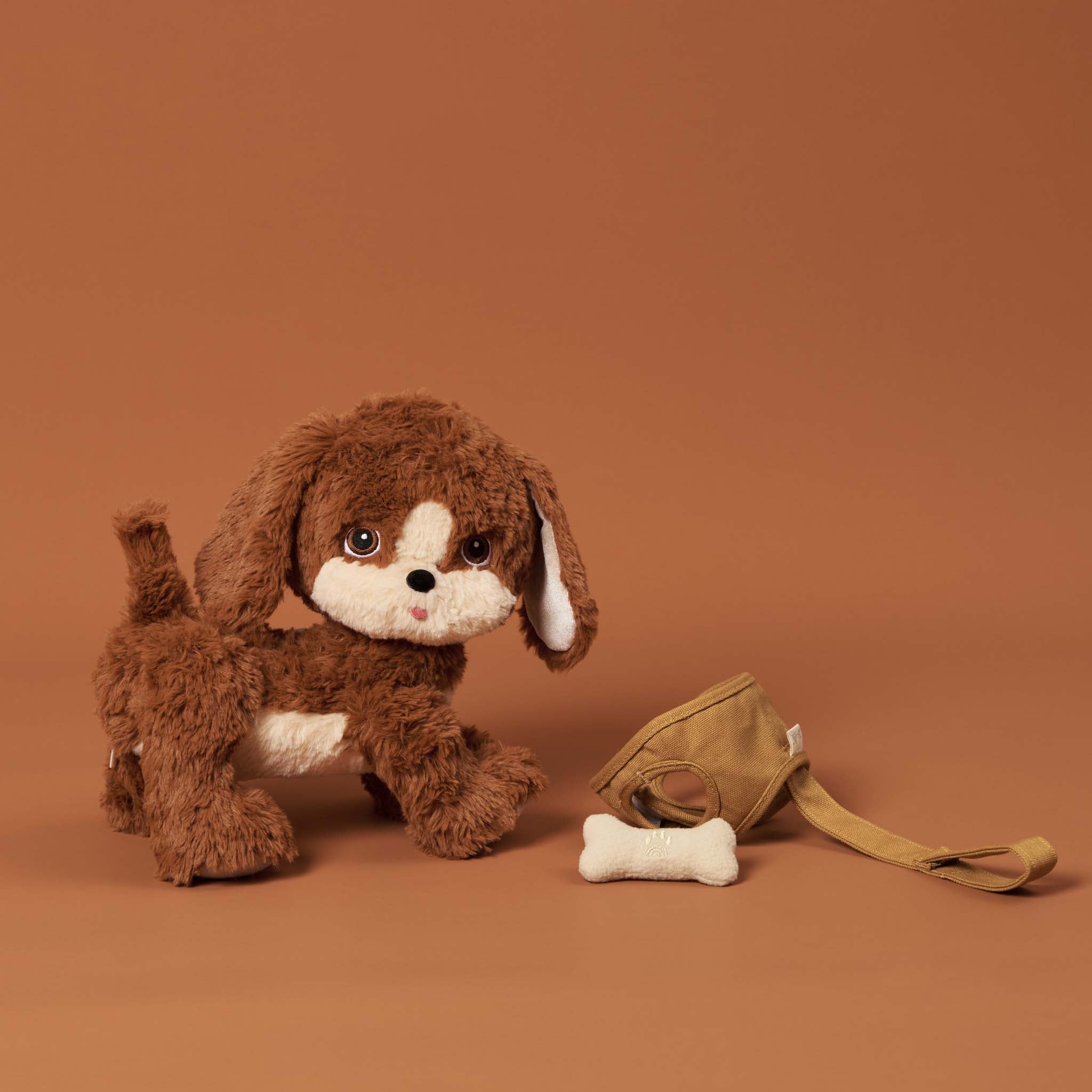 Dinkum Dogs - Buddy - Image 7