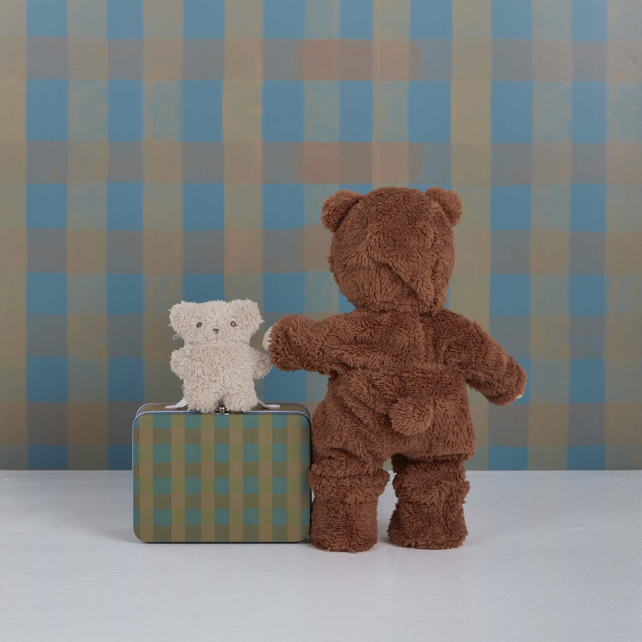 Dinkum Dolls Pretend Pack - Teddy - Image 4