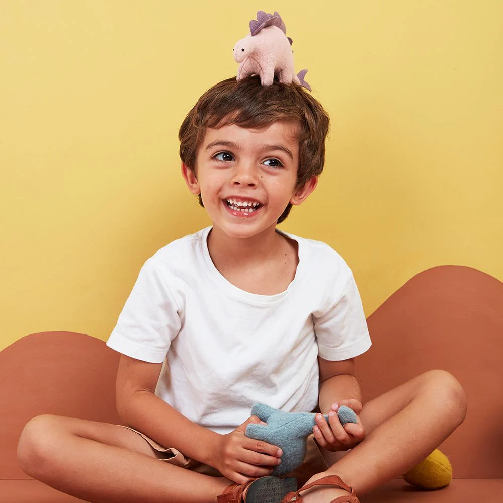 Holdie Set - Dinosaurs - Image 8